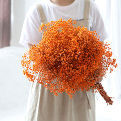 100g Natural Dried Flowers Baby Breath Flowers Bouquets Colorful Gypsophile  Wedding Decoration Table and Room Nordic Home Decor