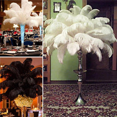 10 Pcs Ostrich Feathers