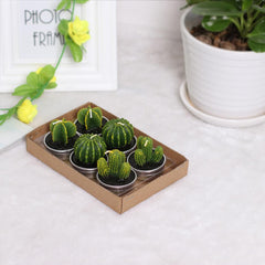 6Pcs Cactus Candles