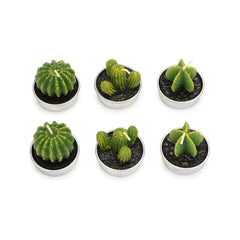 6Pcs Cactus Candles