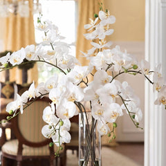Artificial Orchid 5 Colors
