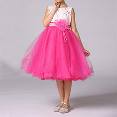Princess Birthday Bridesmaid Dance Pageant Flower Girl Dress