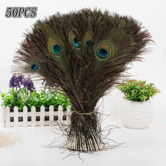 Wholesale 50pcs 25-30cm Natural Peacock Tail Feathers