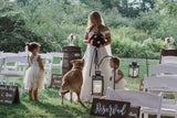 What To Know When Including Pets At Your Wedding