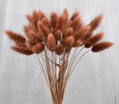 50Pcs Dried Flower Rabbit Tail Bouquet Home Decor Natural Fluffy Pampas Floral Arrangement Rustic Wedding Table Decoration