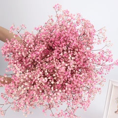 Dried Flowers Baby's Breath Valentines Day Gift Gypsophile Bouquet Wedding Decoration Garden Party Colorful Diy Boho Home Decor