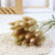 50Pcs Dried Flower Rabbit Tail Bouquet Home Decor Natural Fluffy Pampas Floral Arrangement Rustic Wedding Table Decoration