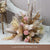 Natural Dried Swamp Reeds Gold Foil Fake Roses for Flower Arrangement Wedding Arch Wall Decor