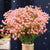 30Heads 29cm Babies Breath Artificial Flowers Plastic Gypsophila DIY Floral Bouquets Arrangement for Wedding Home Decoration