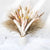 Natural Dried Pampas Bouquet Home Autumn Decoration Dry Flowers Reed Wedding Party Centerpieces for Tables Scene Shoot Ornaments