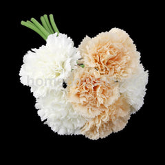 1 Bunch CARNATIONS 6 Stem
