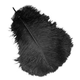 10 pcs Ostrich Feathers 12-14 inch  for Wedding Centerpieces