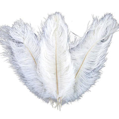 10 Pcs Ostrich Feathers