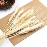 20PCS Artificial Autumn Wheat