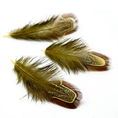 50PCS Dyed Plumas De Colores Natural Pheasant Feathers