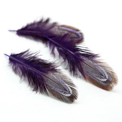 50PCS Dyed Plumas De Colores Natural Pheasant Feathers