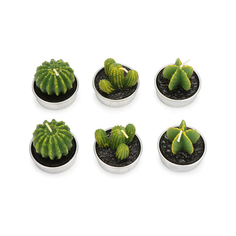 6Pcs Cactus Candles