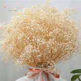 Dried Flowers Baby's Breath Valentines Day Gift Gypsophile Bouquet Wedding Decoration Garden Party Colorful Diy Boho Home Decor