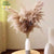 Pampas Dried Flowers Mix Bouquet for Home Decor Living Room Real Reeds Grass Northern Europe Garden Decoration with Baby Breath