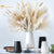 60Pcs Natural Dried Pampas Grass Bouquet for Bohemian Chic Decoration Dried Flower Rabbit Tail Wedding Accessories Decor