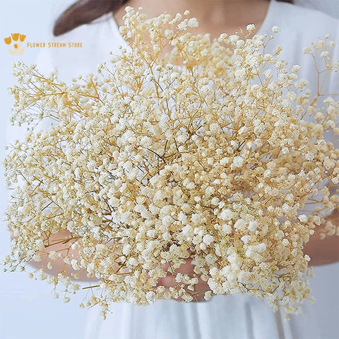 100g Natural Dried Flowers Baby Breath Flowers Bouquets Colorful Gypsophile  Wedding Decoration Table and Room Nordic Home Decor