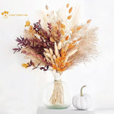 Natural Dried Pampas Bouquet Home Autumn Decoration Dry Flowers Reed Wedding Party Centerpieces for Tables Scene Shoot Ornaments