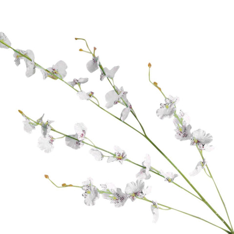 Artificial Oncidium Orchid Phalaenopsis Flowers Multiple Colors