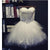 Ball Gown Princess Strapless Short Wedding Dress with Feathers