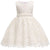 Flower Girl Dress Toddler/Infant White or Pink