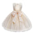 Girls Tulle Lace Flower Bridesmaid Gown Backless Dress with Bow