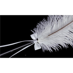 Ostrich Feather Pen/Ivory