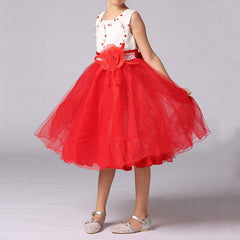 Princess Birthday Bridesmaid Dance Pageant Flower Girl Dress