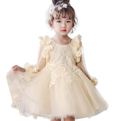 Princess Kids Girl Dresses