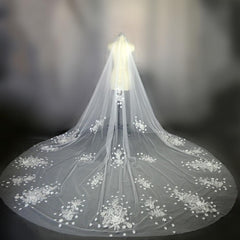 White/Ivory Appliqued  Veil Long With Comb