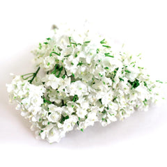 Wholesale 10pcs/Lot Beautiful Gypsophila