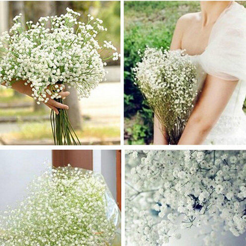 Wholesale 10pcs/Lot Beautiful Gypsophila
